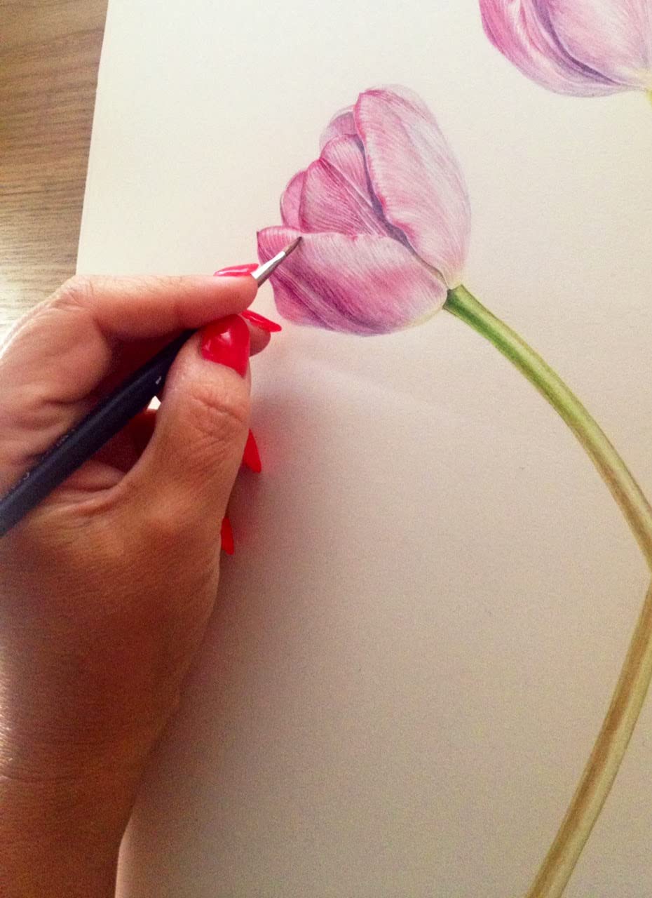 BRUSTRO Artists Watercolour Paper - 300 GSM - 25% Cotton - Cold Pressed