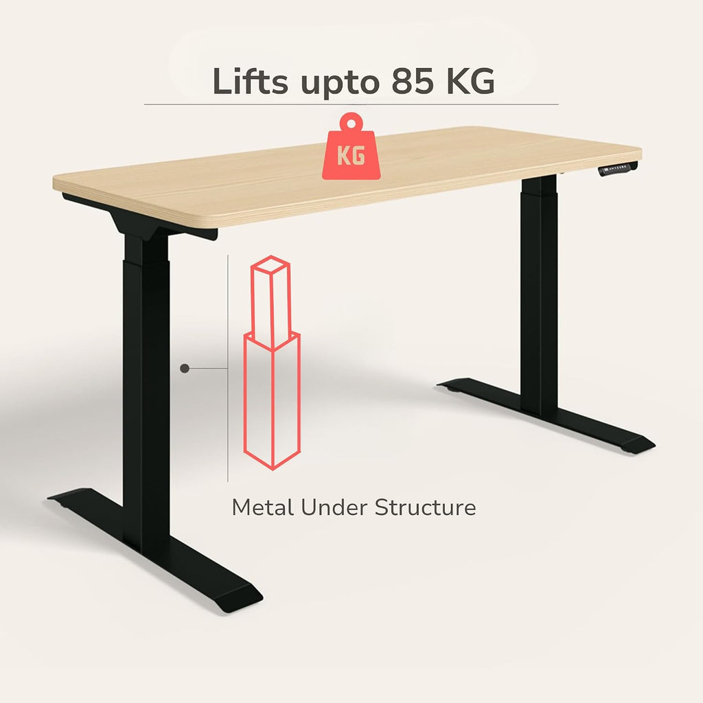 Interio by Godrej Stance Dual Motor Height Adjustable Work Desk - 135 x 60 cm - Douglas Pine Top